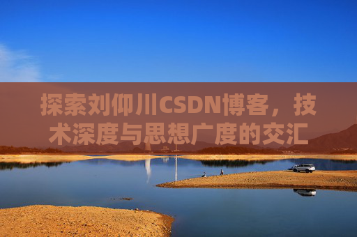探索刘仰川CSDN博客，技术深度与思想广度的交汇